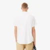 Chemise en coton à manches courtes pour homme, coupe classique