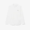 Chemise en popeline stretch à coupe classique