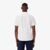 Chemise Oxford à manches courtes coupe classique pour homme Chemise Oxford à manches courtes coupe classique pour homme