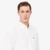 Chemise Oxford pour homme, coupe classique Chemise Oxford pour homme, coupe classique