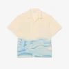 Chemise à rayures Crocodile coupe décontractée Chemise à rayures Crocodile coupe décontractée