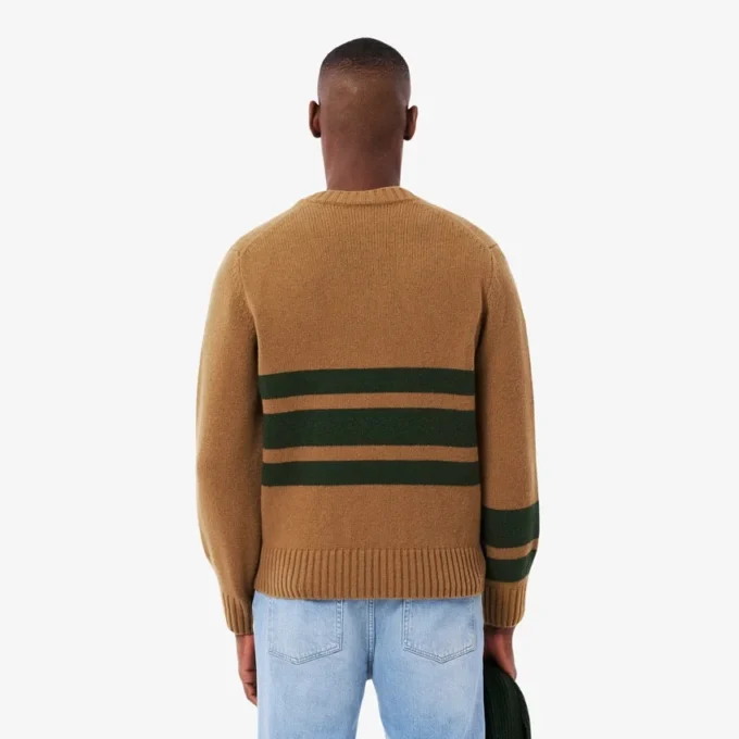 Pull à col en V en laine rayé pour homme Pull à col en V en laine rayé pour homme