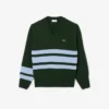 Pull à col en V en laine rayé pour homme