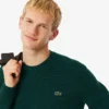 Pull à col rond en laine pour homme Pull à col rond en laine pour homme