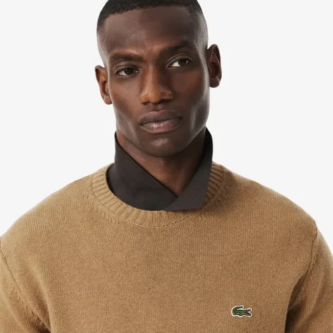 Pull à col rond en laine pour homme Pull à col rond en laine pour homme