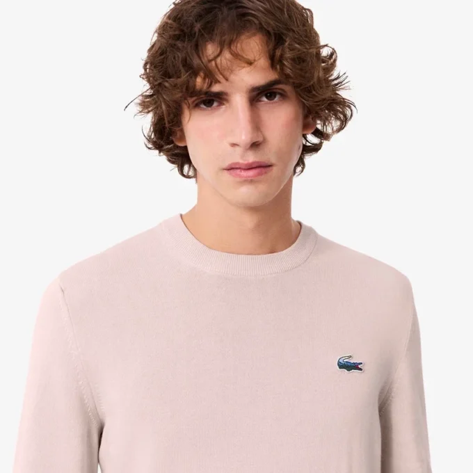 Pull en coton pour homme avec motif crocodile Pull en coton pour homme avec motif crocodile
