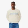Pull en laine pour homme avec motif intarsia Pull en laine pour homme avec motif intarsia