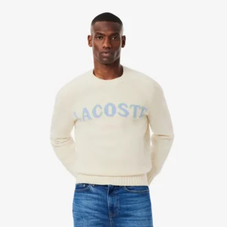 Pull en laine pour homme avec motif intarsia