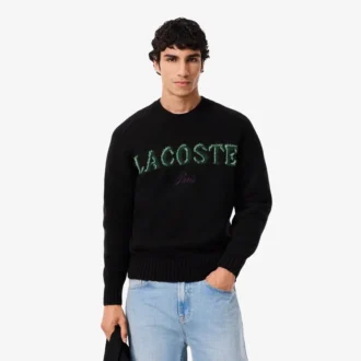 Pull en laine pour homme avec motif intarsia