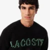 Pull en laine pour homme avec motif intarsia Pull en laine pour homme avec motif intarsia