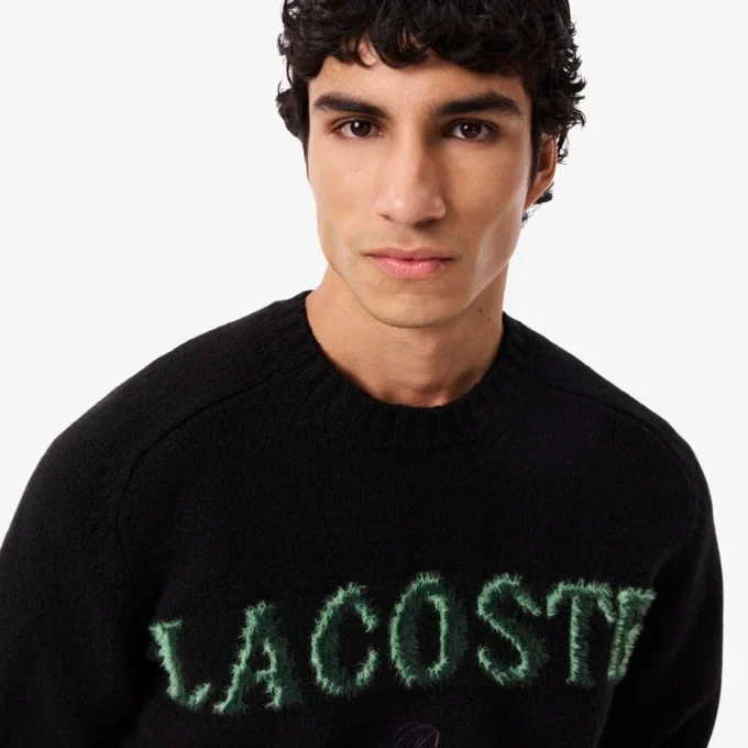 Pull en laine pour homme avec motif intarsia Pull en laine pour homme avec motif intarsia