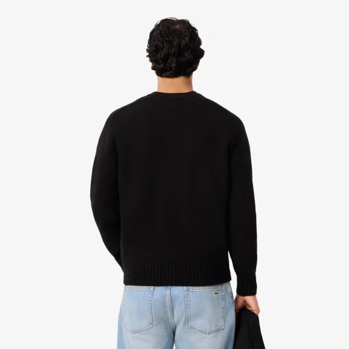 Pull en laine pour homme avec motif intarsia Pull en laine pour homme avec motif intarsia