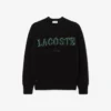 Pull en laine pour homme avec motif intarsia Pull en laine pour homme avec motif intarsia