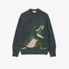 Pull en maille intarsia Crocodile pour homme Pull en maille intarsia Crocodile pour homme