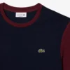 T-shirt en coton à blocs de couleur, coupe classique pour homme
