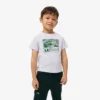 T-shirt en coton à imprimé graphique