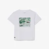 T-shirt en coton à imprimé graphique