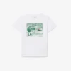 T-shirt en coton à imprimé graphique