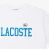 T-shirt en jersey de coton – Grandes tailles – Big T-shirt en jersey de coton – Grandes tailles – Big